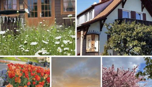 Ferienhaus Jutta am Bodensee - Foto 2