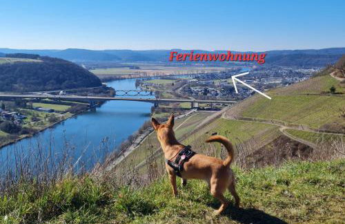 Familie Jonas - Foto 23