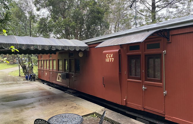 Mt Nebo Railway Carriage and Chalet - Foto 10