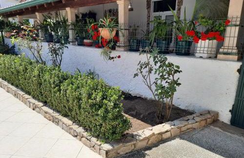 QM - Quinta da Morgadinha - Casa em Quinta Rural - Foto 56