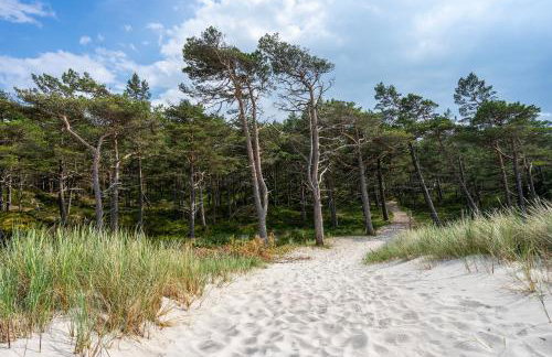 Domki Szumifala - Foto 52