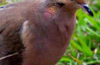 Gorgeous, secluded escape near River with Game room! - Photo 42