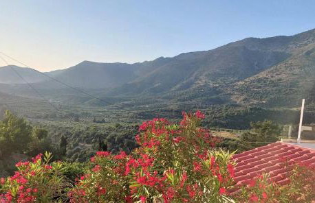 Lale's House - Photo 16