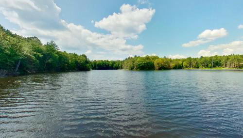 Blue Jay Cabin - Foto 2