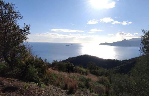 Κατοικία Πανόραμα, Πραγματευτή Λεωνιδίου, Τ.Κ.22300 - Photo 34