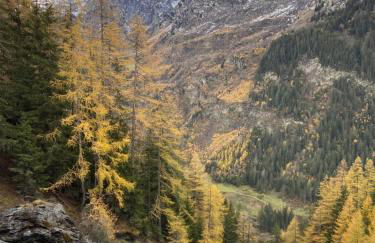 Chalet Victoria - Foto 9