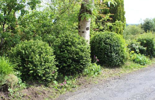 Ketty's Cottage - Foto 12