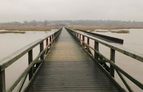 FeWo Paulsen Schobüll - Foto 22