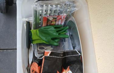 Chillkröte - Foto 33