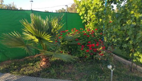 La Casita en finca La Guindilla - Foto 5, Garden