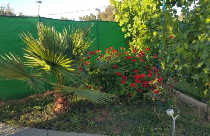 La Casita en finca La Guindilla - Foto 5