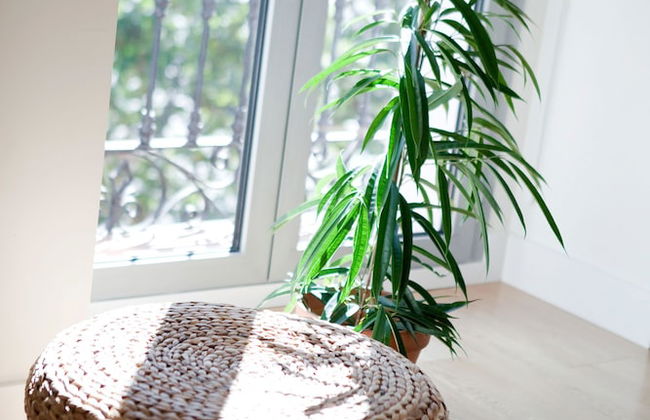 60 Balconies Art - Photo 43