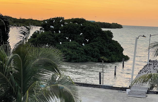 Blue Bay Cottage - Foto 50