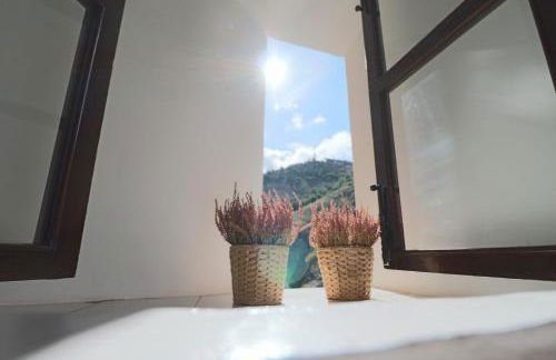 Huerto de Mateo Arana - Foto 24