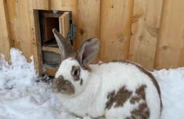 Alte Schmiede - Photo 5