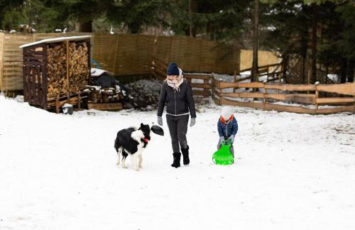 Chata Pod Lasem - Foto 8