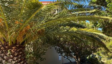 Holiday House, São Roque do Pico - Photo 3, Garden view