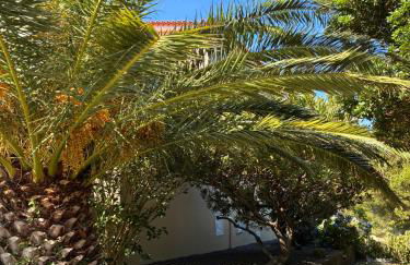 Holiday House, São Roque do Pico - Photo 3