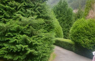 CASA DE CAMPO LAS ROZAS - Foto 71