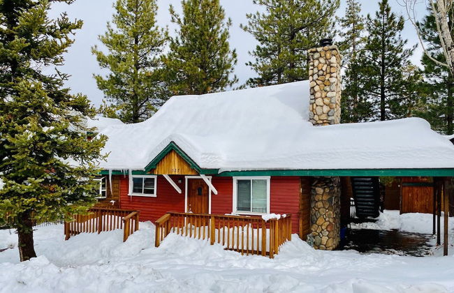 Bear Pause - Foto 23