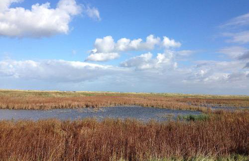Ferienwohnungen Felix und Jan - Foto 16
