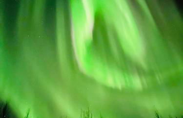 Alaska Getaway - Foto 55