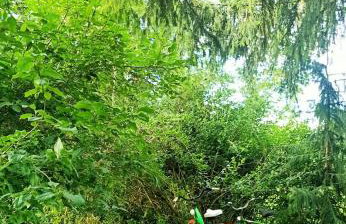 Magic Wood Studio Apartament Koniewo - Foto 12