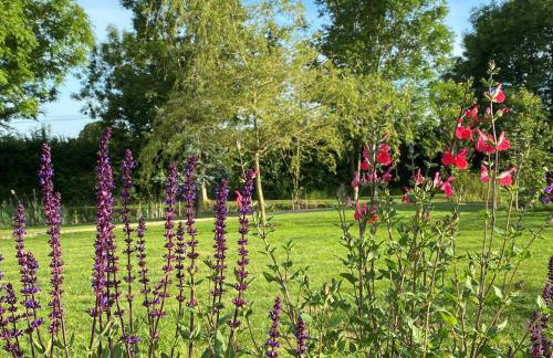 Silver Springs Farm Lodge - Foto 19