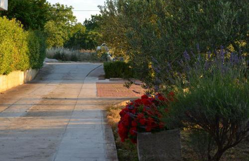 Apartments Tomas - Foto 14