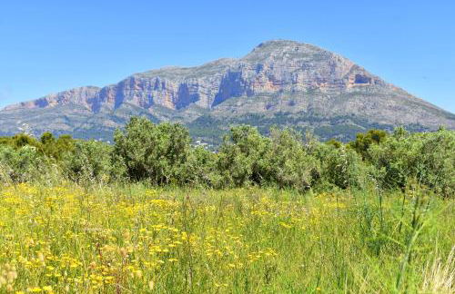 Casa Bonavista - Foto 39