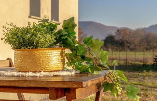 Nicolò e gli Alberi - Villino E - Foto 30