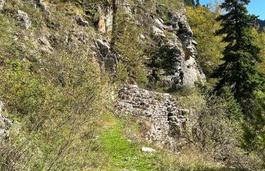 Πατρικό ολόκληρος ξενώνας entire stone guesthouse - Foto 21