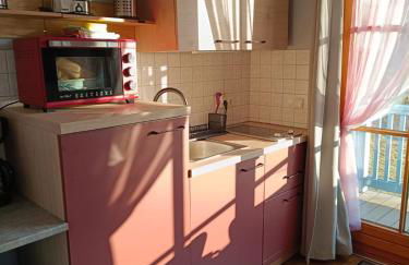 Ferienland Sonnenwald Fewo 46 und Studio 50 in Schöfweg Bayerischer Wald - Foto 3