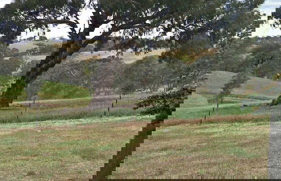 Kinross Metcalfe Farm - Foto 45