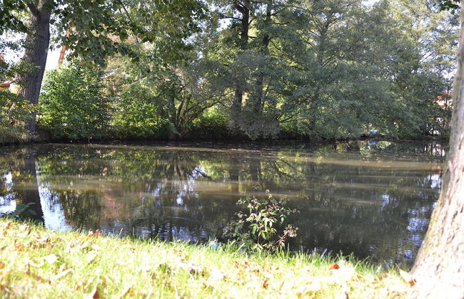 Ferienwohnung Romance - Foto 34