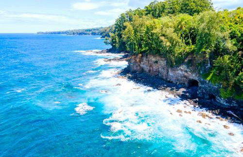 Oceanfront Treehouse at Hakalau with Kitchen - Foto 37