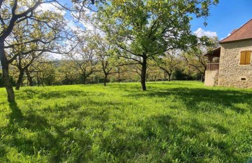 Sous les Noyers Autoire - Foto 30