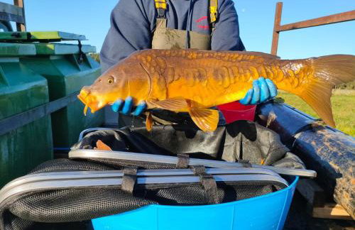 Middlehead Cottages - Foto 24