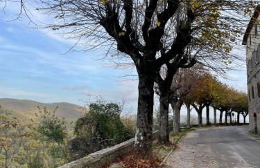 Vincent van Gogh Dolce Vita - Foto 31