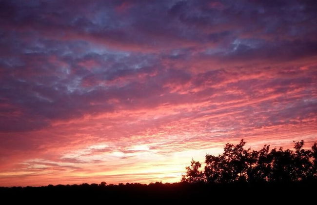 Room in Farmhouse - Agriturismo Abbondanza® - Foto 24