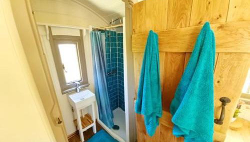 Pen Bryn Shepherd Hut - Foto 5