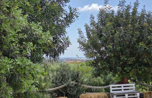 Tenuta degli Ulivi - Dimora Contadina - Foto 59