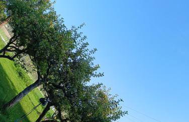 Apartament Szóstka nad Sołą - Foto 8