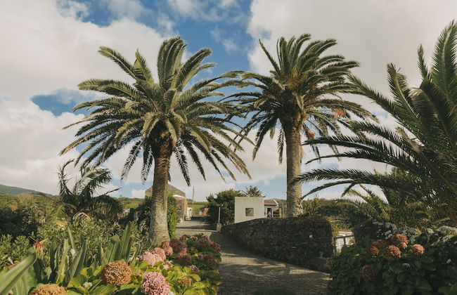 Moinho das Feteiras - Foto 48