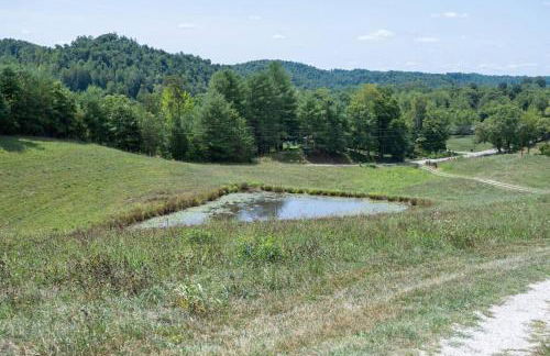 WiFi Firepit Fishing Pond - FarmView - Foto 63