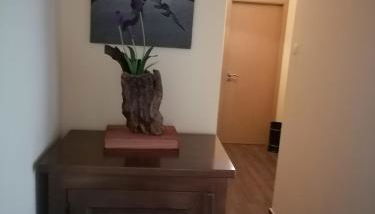 Casa das 4 estações - Foto 3