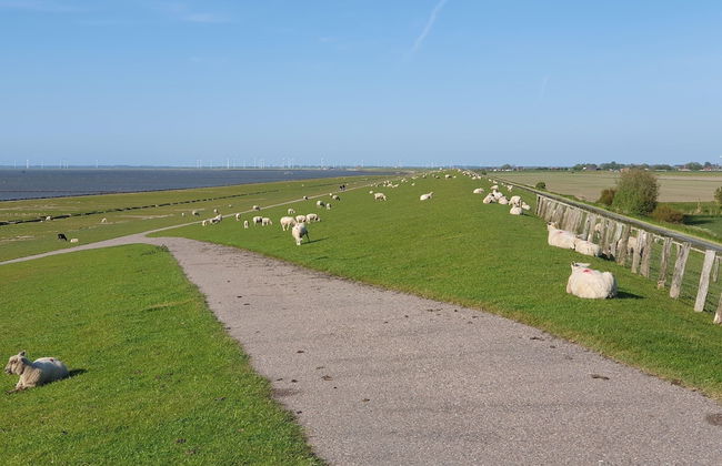 Penthouse am Nordstrand auf dem Deich - Foto 18