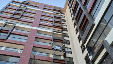 Coral Park Residence - Foto 3