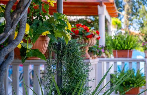 Apartments Villa Camellia - Adults Only - Foto 43