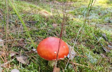 Zaciszne SPA - Foto 16